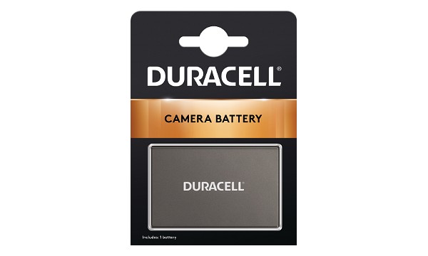 D40 Battery